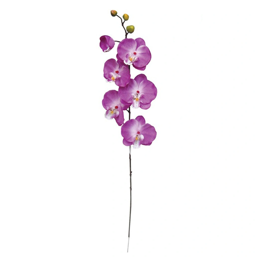 ORCHID BRANCH PURPLE - H72CM - 1