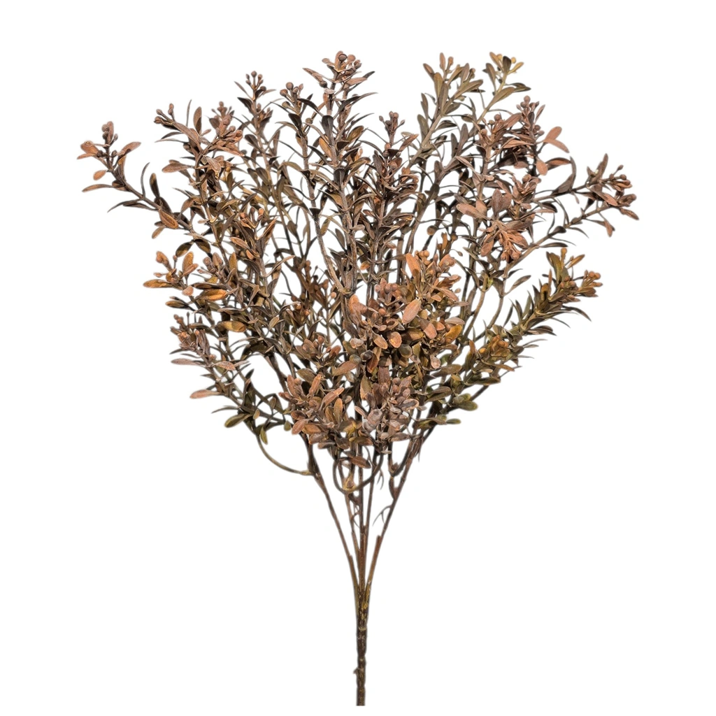 BUXUS BOUQUET BROWN (5 BRANCHES) - H38CM - 1