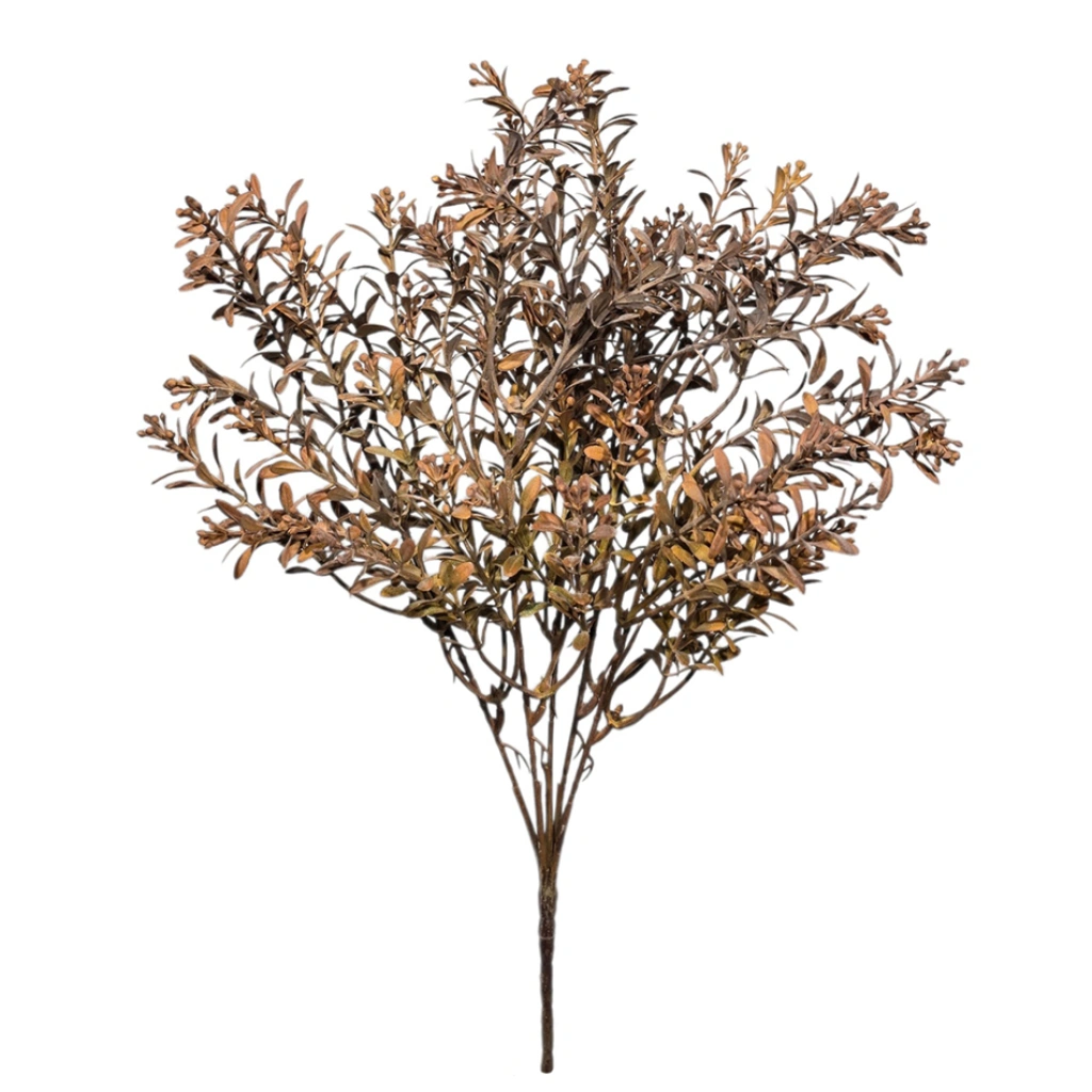 BUXUS BOUQUET DARK BROWN (5 BRANCHES) - H38CM - 1