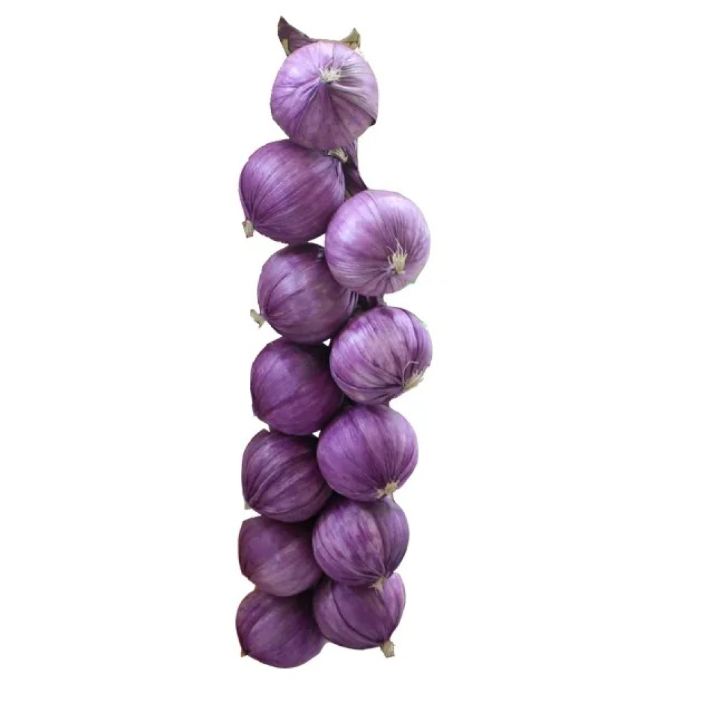 HANGING ONION - H38CM - 1