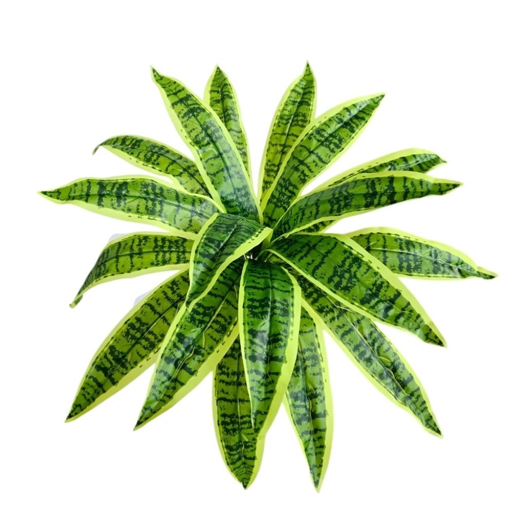 ASPLENIUM SANSEVIERIA REAL TOUCH - H52CM - 1