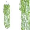 HANGING AESCYNANTHUS LIGHT GREEN REAL TOUCH 88CM