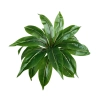 ASPLENIUM BOUQUET REAL TOUCH - H52CM