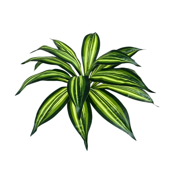DRACAENA BOUQUET REAL TOUCH - H52CM