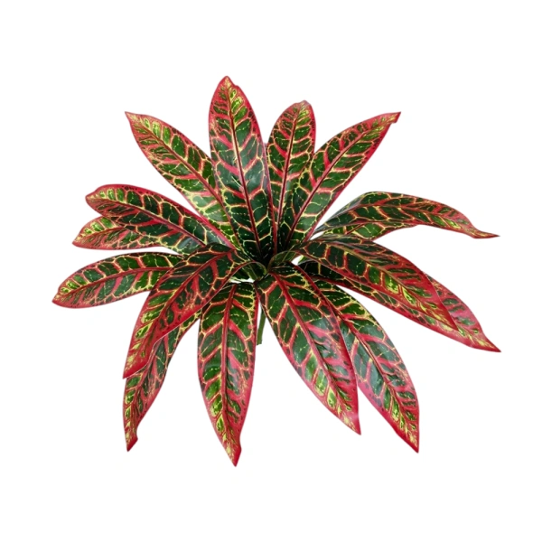 CROTON BOUQUET REAL TOUCH - H52CM